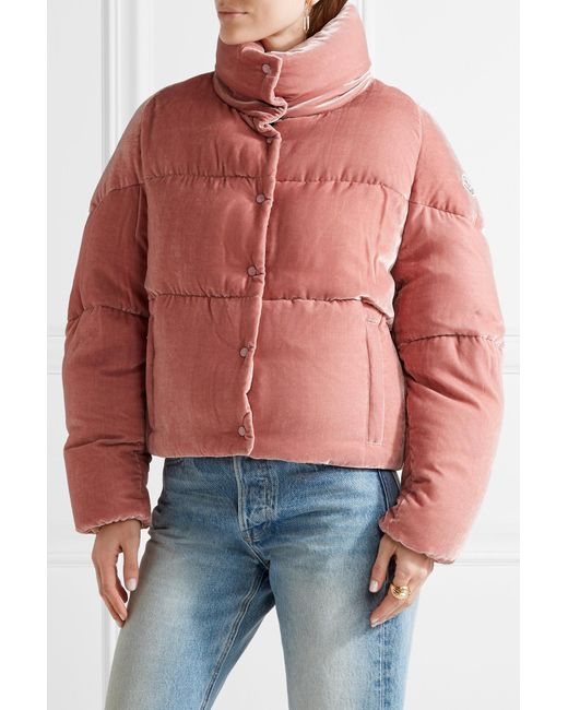 moncler cercis cropped velvet puffer coat moncler cercis cropped velvet puffer coat